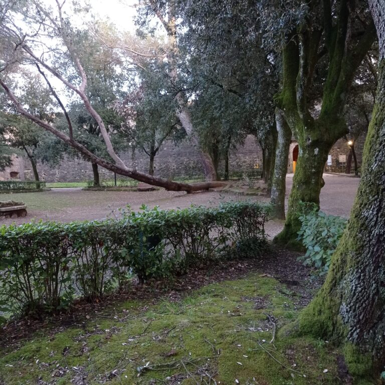 Arezzo - Il Prato  dalle 9,30 alle 11,00 circa