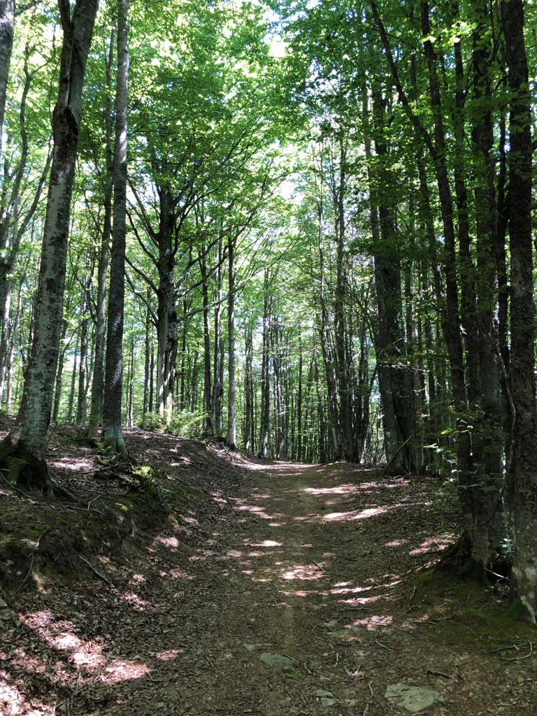 Badia Prataglia, Poppi (Ar), dalle 10,00 alle 15,00 circa