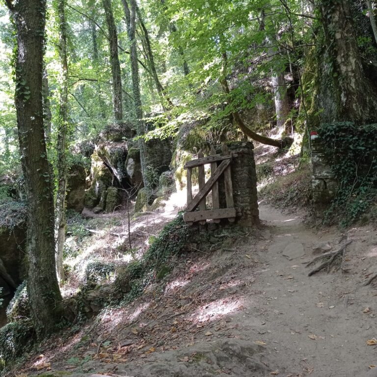 Forest Bathing ai piedi del Santuario di San Francesco, La Verna (Ar) dalle 9,30 alle 16,00 circa